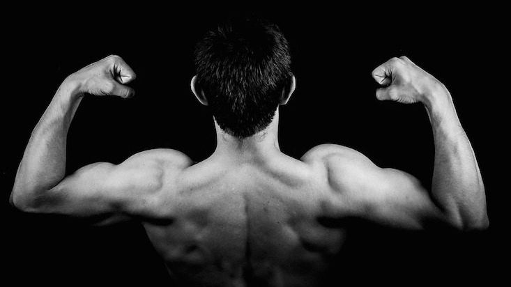 The ultimate workout guide for the home and gym