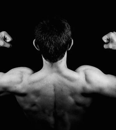 The ultimate workout guide for the home and gym