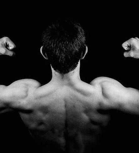 The ultimate workout guide for the home and gym
