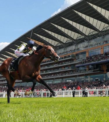 A gentleman’s guide to the best race meetings left this year
