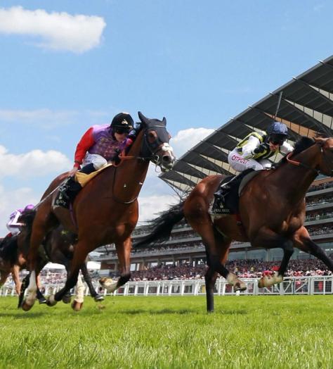 A gentleman’s guide to the best race meetings left this year