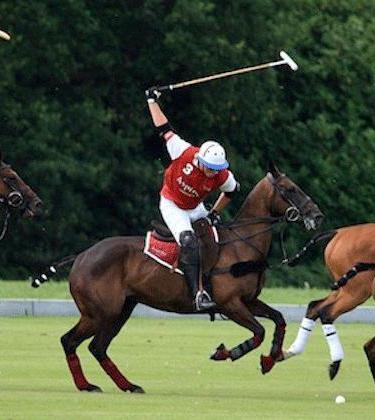 Sport – Five Steps to the Perfect Polo Player