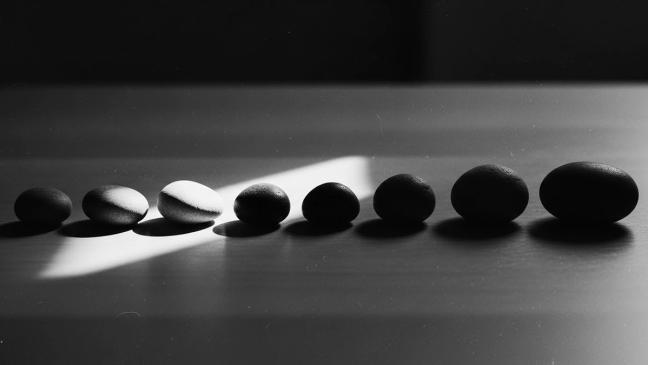 What to Expect in the First Month