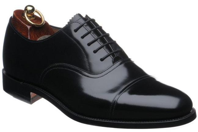 dress shoe - TGJ.03