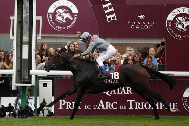 Qatar Prix De L'arc De Triomphe Horse Event - TGJ