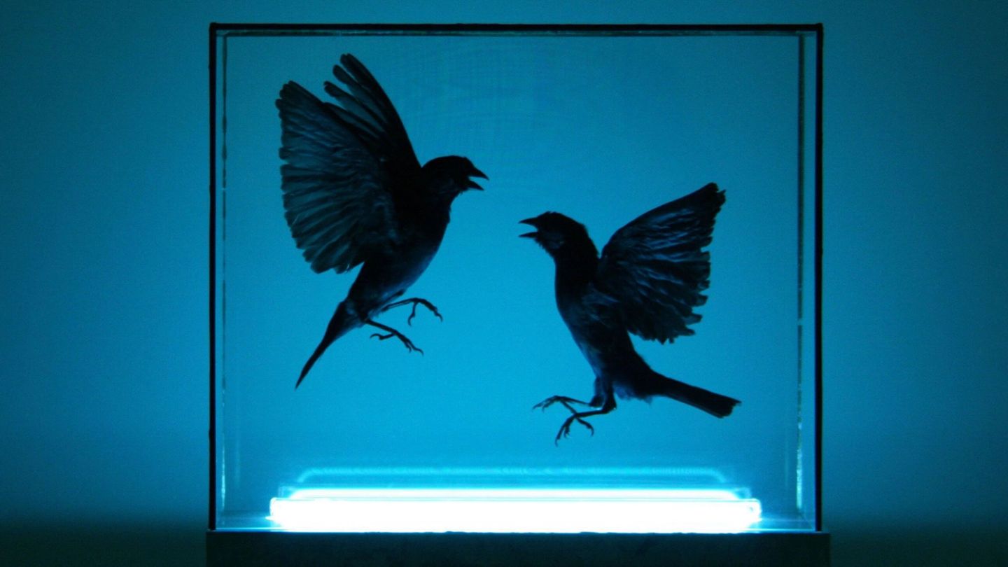 “We are in a time of tension – the arts will mark this moment”: Trino Verkade, Sarabande Foundation trustee