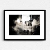 ‘Bird on 5th Avenue, New York 2020’ by Phil Penman