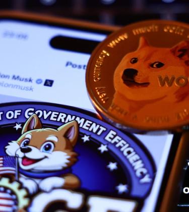 College coders and tech founders are rushing to join Elon Musk’s DOGE