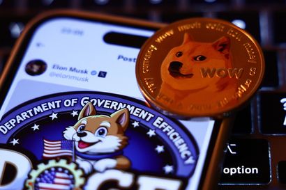 College coders and tech founders are rushing to join Elon Musk’s DOGE