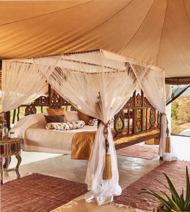 Luxury Safari Camp Sasaab: Leading the Way in Sustainable Travel