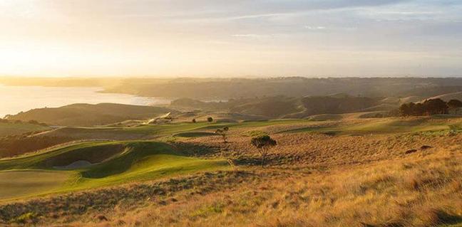 kauricliffs