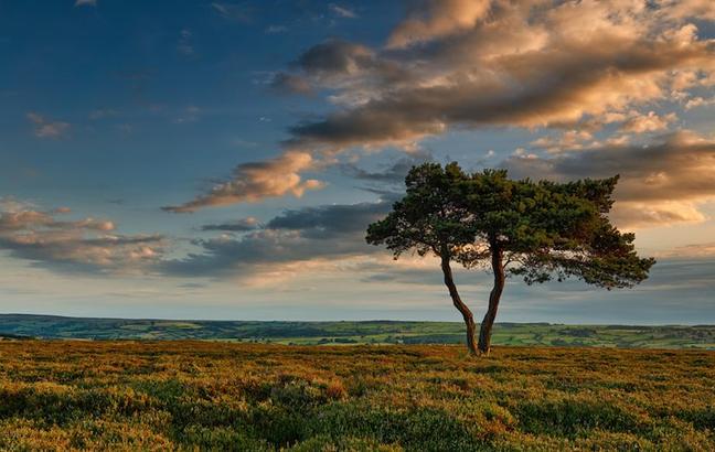 north-york-moors