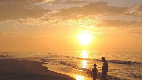 5 life essentials every father should teach his son