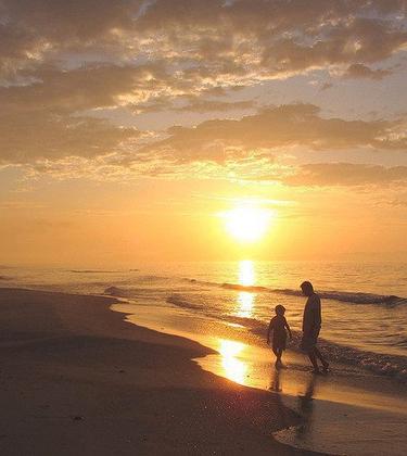 5 life essentials every father should teach his son