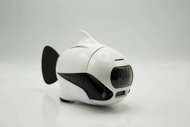 BIKI Robofish Underwater Drone