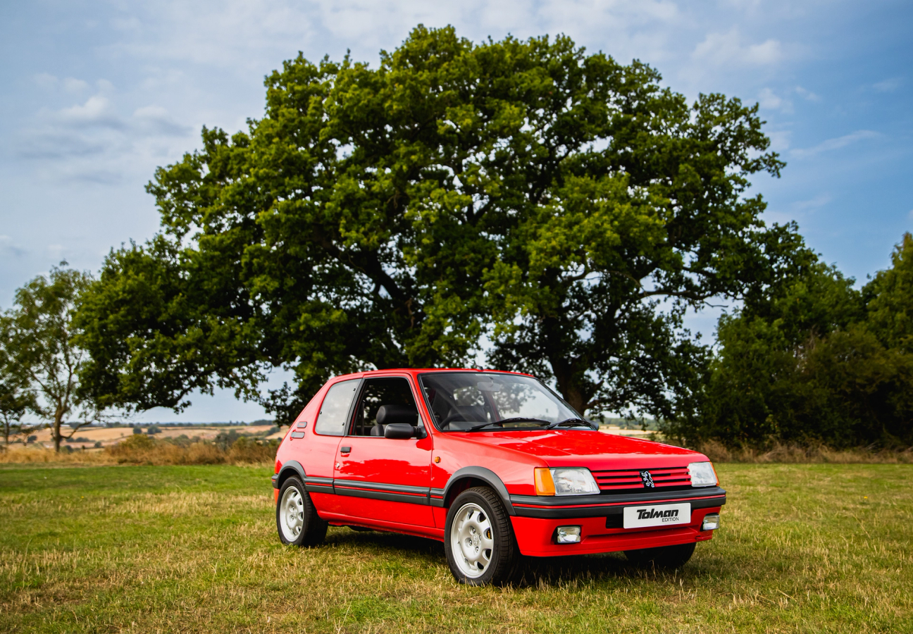 Red Peugeot 205 GTi Tolman Edition parked in a field infront of an oak tree