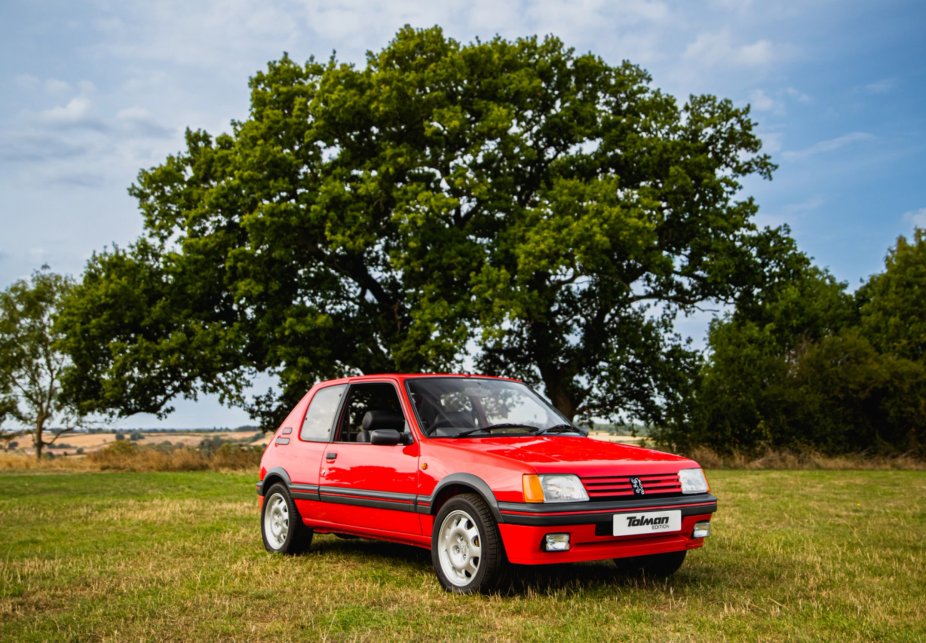 Red Peugeot 205 GTi Tolman Edition parked in a field infront of an oak tree