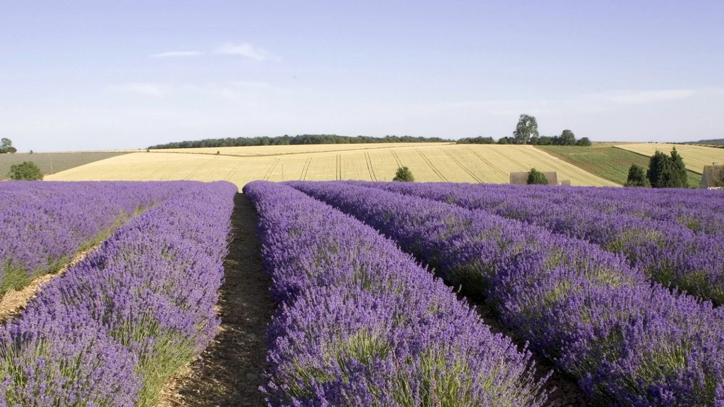 The grass is greener: An under-the-radar romantic road trip through the Cotswolds