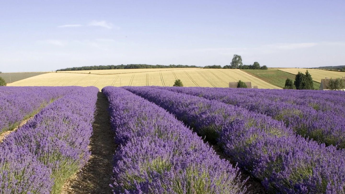 The grass is greener: An under-the-radar romantic road trip through the Cotswolds