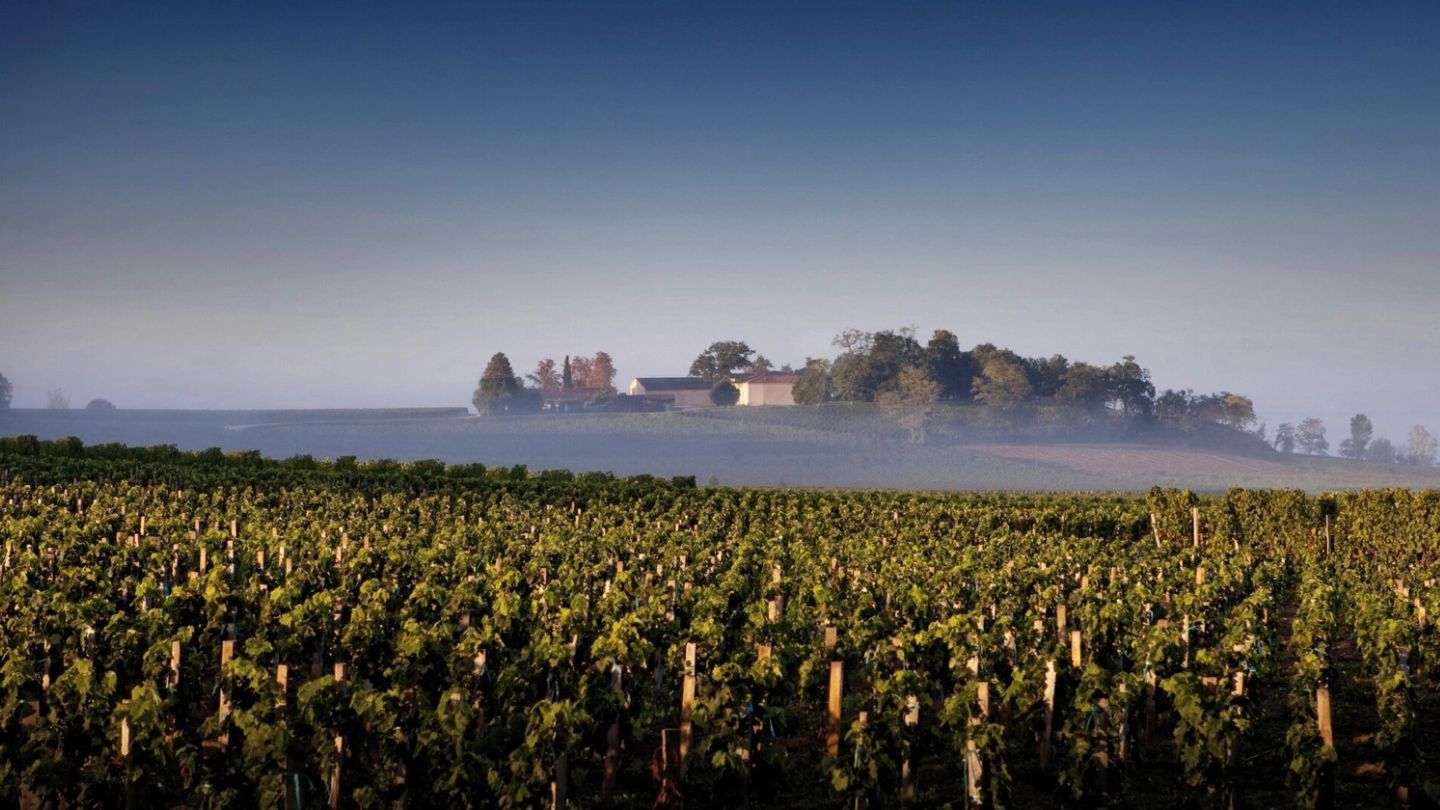Here be dragons: Why Château Quintus is the pinnacle of wine tourism
