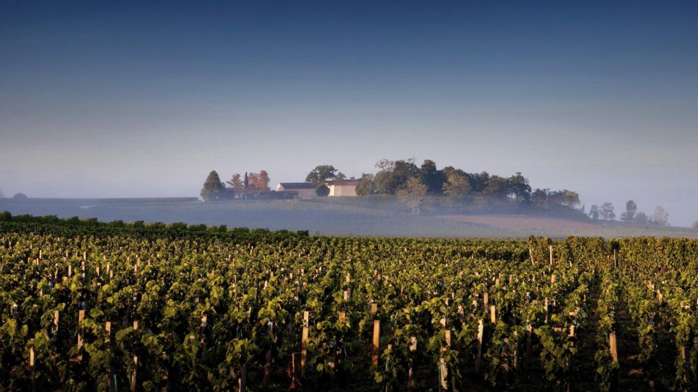 Here be dragons: Why Château Quintus is the pinnacle of wine tourism