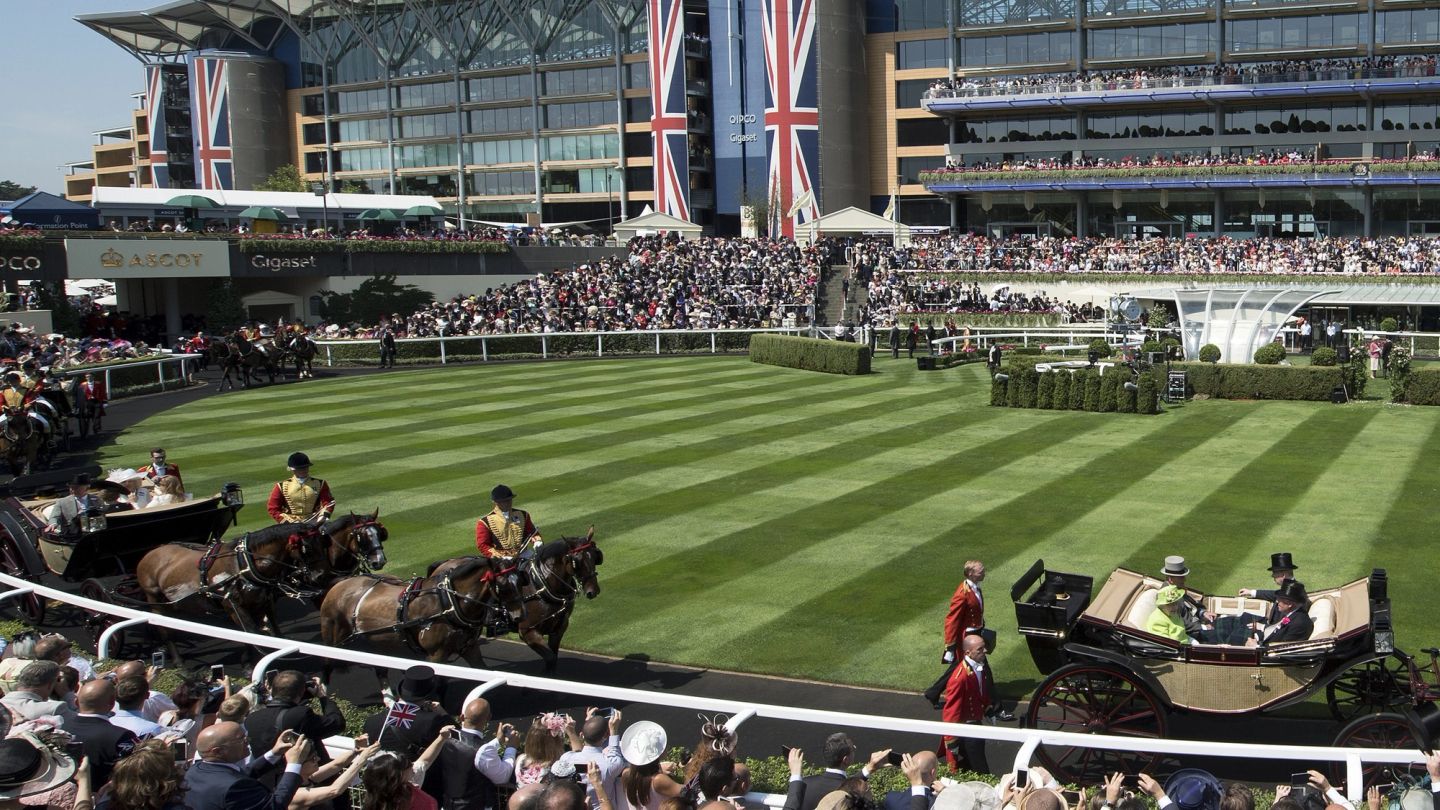 What to expect from Ascot this week, by racing presenter Oli Bell