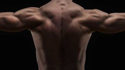 Effective fat loss guidelines – Chapter 1: Nutrition