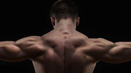 Effective fat loss guidelines – Chapter 1: Nutrition