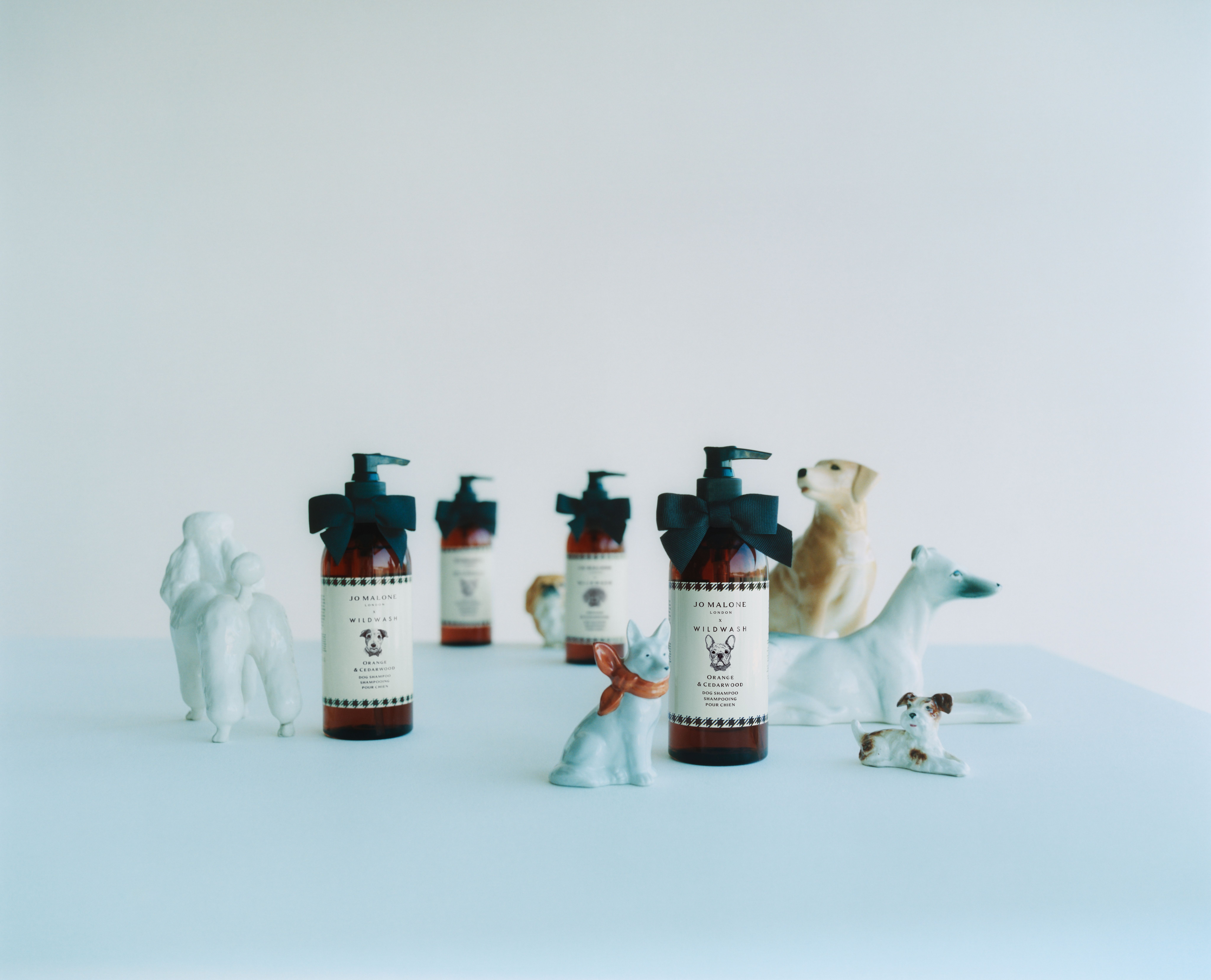 Your dog can now smell like Jo Malone