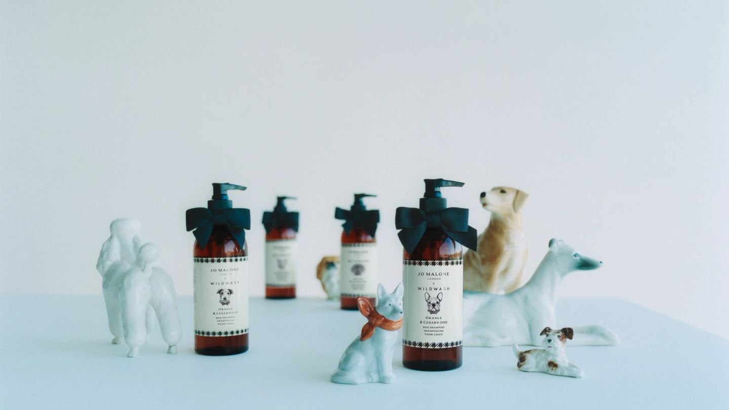 Your dog can now smell like Jo Malone