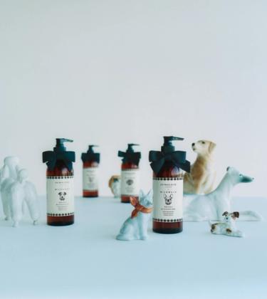 Your dog can now smell like Jo Malone