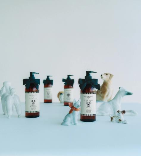 Your dog can now smell like Jo Malone