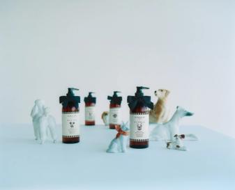 Your dog can now smell like Jo Malone
