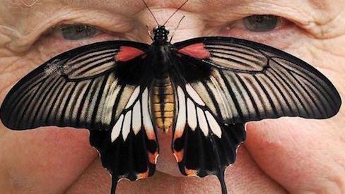 David Attenborough: his life in pictures