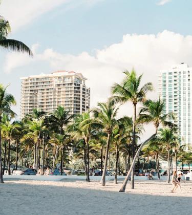 City guide: Why you should visit Miami