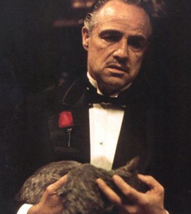 The movie quotes every man should know