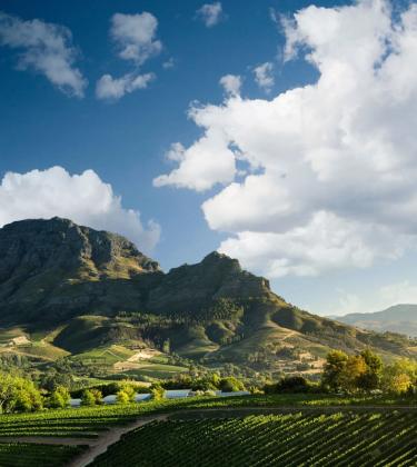 The best restaurants, bars and hotels to visit in South Africa