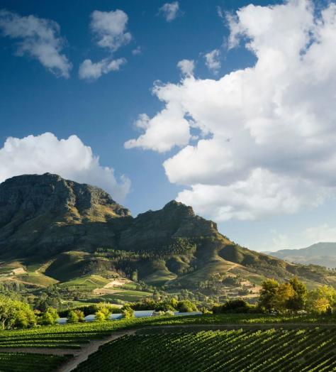 The best restaurants, bars and hotels to visit in South Africa