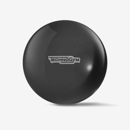 Technogym Wellness Ball