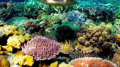 10 PLACES TO VISIT BEFORE THEY DISAPPEAR