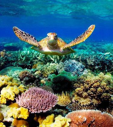 10 PLACES TO VISIT BEFORE THEY DISAPPEAR