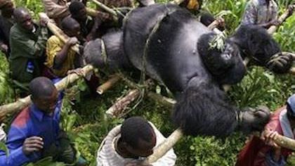 5 documentaries you need to watch this weekend