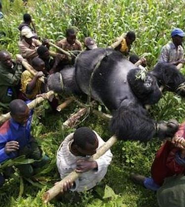 5 documentaries you need to watch this weekend