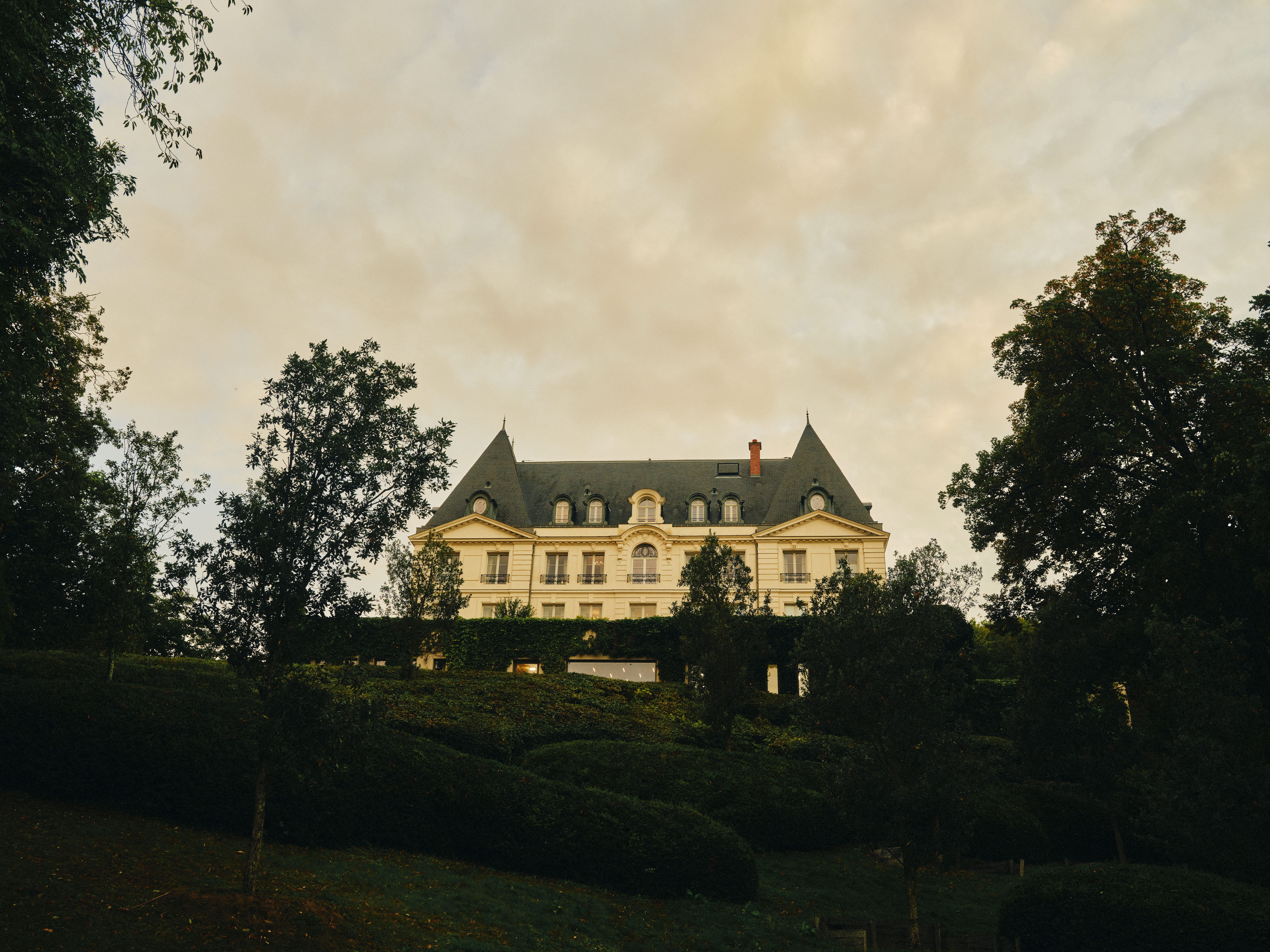 The Alchemy of Autumn: Inside the Harvest of Moët & Chandon