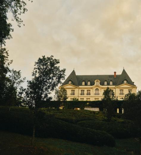 The Alchemy of Autumn: Inside the Harvest of Moët & Chandon