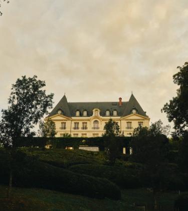 The Alchemy of Autumn: Inside the Harvest of Moët & Chandon