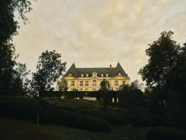 The Alchemy of Autumn: Inside the Harvest of Moët & Chandon