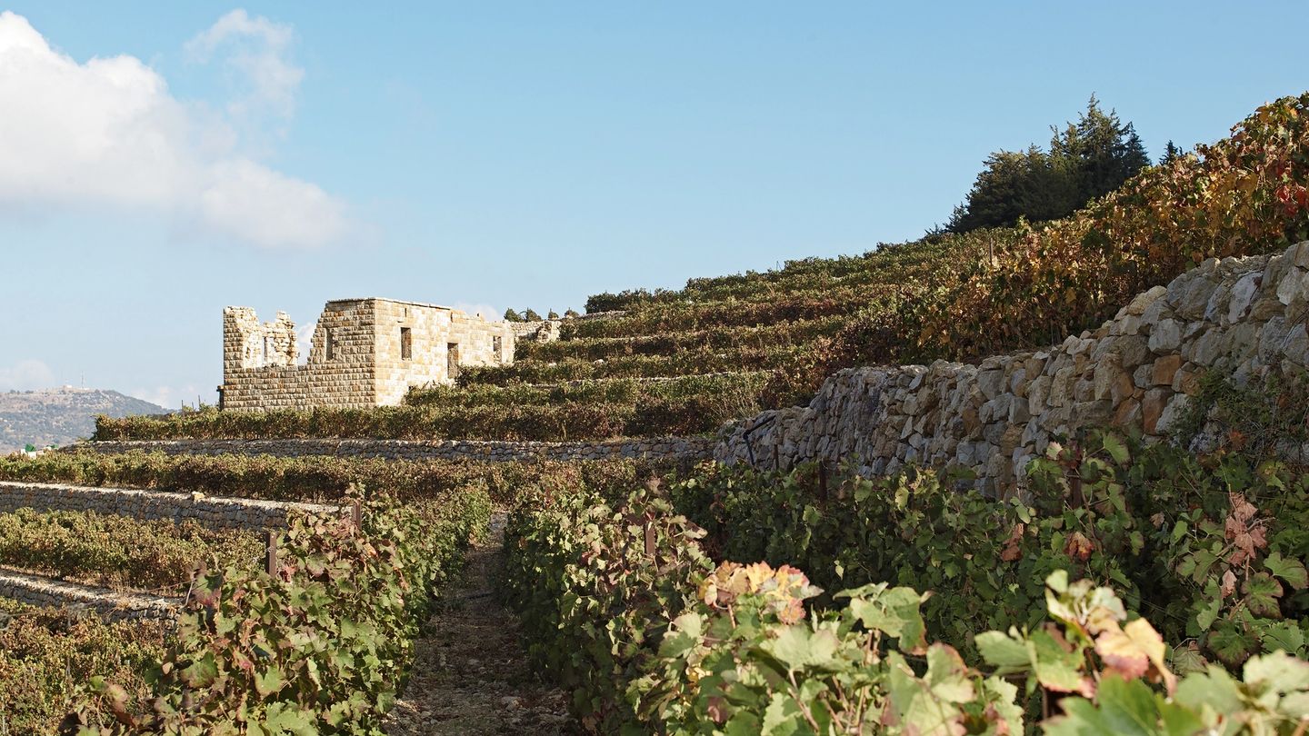 Why you should be drinking more Lebanese wines