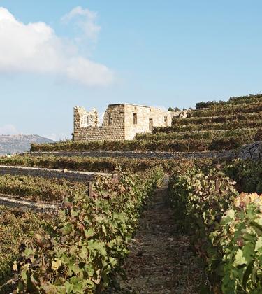 Why you should be drinking more Lebanese wines