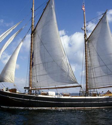 The sailing event gentleman must attend